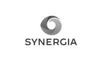 Brand=synergia, Size=Big